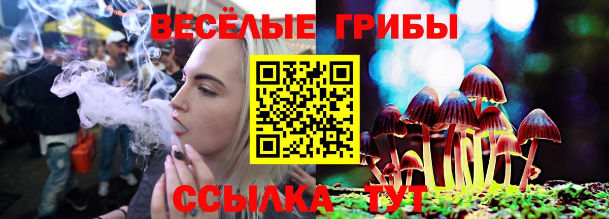 Мелеуз  Псилоцибиновые грибы Psilocybine cubensis  Вход с VPN 