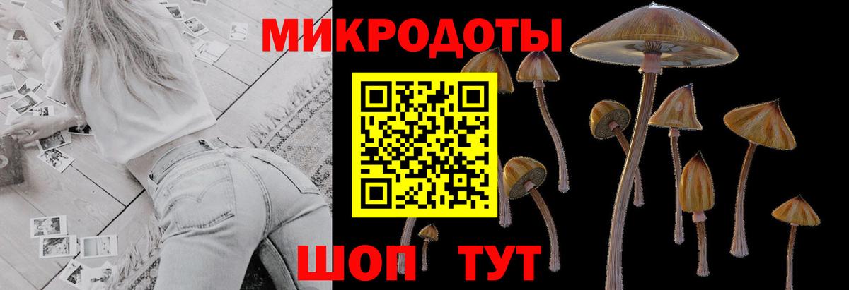 Псилоцибиновые грибы ЛСД Мелеуз